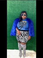 Made You Look Zebra Skirt